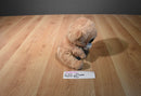 Ty Beanie Boos Tangerine Tan Monkey 2010 Beanbag Plush