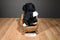 Sitting Bernese Mountain Dog Plush