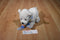 Maurice's White West Highland Terrier Beanbag Plush