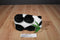 Aurora Wildbeasts Global Conservation Bamboo the Panda Plush
