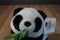 Aurora Wildbeasts Global Conservation Bamboo the Panda Plush