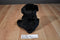 Ben Bridge Benny the Black Bear With Purple Bow 2015 Beanbag Plush