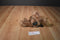 Russ Demetri Brown Bear Beanbag Plush
