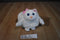 Jay At Play Pop Out Pets Cat 2015 Plush