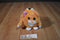 Jay At Play Pop Out Pets Cat 2015 Plush