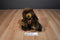 Fiesta Jointed Brown Comic Bear Beanbag Plush