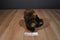 Fiesta Jointed Brown Comic Bear Beanbag Plush