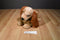 Disney Lady and The Tramp "Lady" Plush