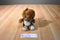 Dakin 1970's Vintage Brown and White Squirrel Plush