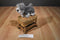 Battat Our Generation Schnauzer Pup Puppy Dog 2017 Plush