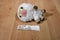 Jazwares Mojang Minecraft White Sheep 2014 Plush