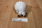 Jazwares Mojang Minecraft White Sheep 2014 Plush