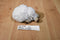Jazwares Mojang Minecraft White Sheep 2014 Plush