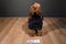 First & Main Spruced Moose Jointed Moose Beanbag Plush