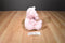 Baby Ganz Pink Blessings Teddy Bear Beanbag Plush