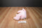 Baby Ganz Pink Blessings Teddy Bear Beanbag Plush