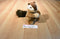 Russ Scampers the Chipmunk Beanbag Plush With an Acorn