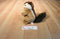 Russ Scampers the Chipmunk Beanbag Plush With an Acorn