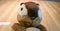 Russ Scampers the Chipmunk Beanbag Plush With an Acorn