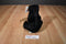 Nanco Wildlife Series Black and Brown Bear Plush