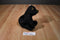 Nanco Wildlife Series Black and Brown Bear Plush