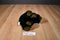 Nanco Wildlife Series Black and Brown Bear Plush