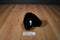 Nanco Wildlife Series Black and Brown Bear Plush