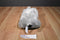 Wishpets Jo the Grey Elephant 2011 Plush