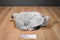 Wishpets Jo the Grey Elephant 2011 Plush