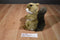 Cabin Critters Squirrel 2002 Beanbag Plush