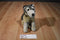 JAAG Sitting Wolf Plush