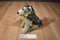 JAAG Sitting Wolf Plush