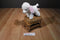 Aurora White and Pink Poodle Beanbag Plush