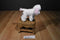 Aurora White and Pink Poodle Beanbag Plush