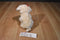 Victoria's Secret Lily the Yellow Lab 2002 Beanbag Plush