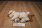Victoria's Secret Lily the Yellow Lab 2002 Beanbag Plush