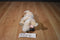 Victoria's Secret Lily the Yellow Lab 2002 Beanbag Plush