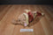 Ganz Heritage Brown Teddy Bear in Santa Suit 2001 Beanbag Plush