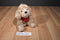 Princess Soft Brown Poodle 2007 Beanbag Plush