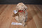 Princess Soft Brown Poodle 2007 Beanbag Plush