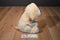 Best Made Toys Yellow Lab Labrador Puppy Dog Beanbag Plush