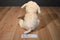 Best Made Toys Yellow Lab Labrador Puppy Dog Beanbag Plush