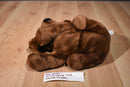 Commonwealth Chocolate Lab Brown Dog 2001 Beanbag Plush