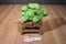 Russ Yomiko Green Sea Turtle Beanbag Plush