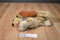 Disney Store Lady and The Tramp Lady Beanbag Plush