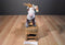 Just Play DreamWorks Spirit Riding Free Boomerang Horse 2017 Beanbag Plush