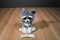 William Mark Corp. Feisty Pets Sammy Suckerpunch Dog Plush