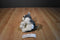 William Mark Corp. Feisty Pets Sammy Suckerpunch Dog Plush