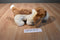 Ty Beanie Buddy 1998 and Baby 1997 Tracker Basset Hound Beanbag Plush