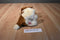 Ty Beanie Buddy 1998 and Baby 1997 Tracker Basset Hound Beanbag Plush